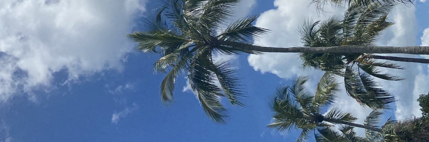 domxooo's profile banner image