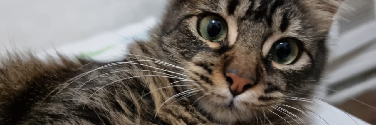 Lorena ♀🌜 banner