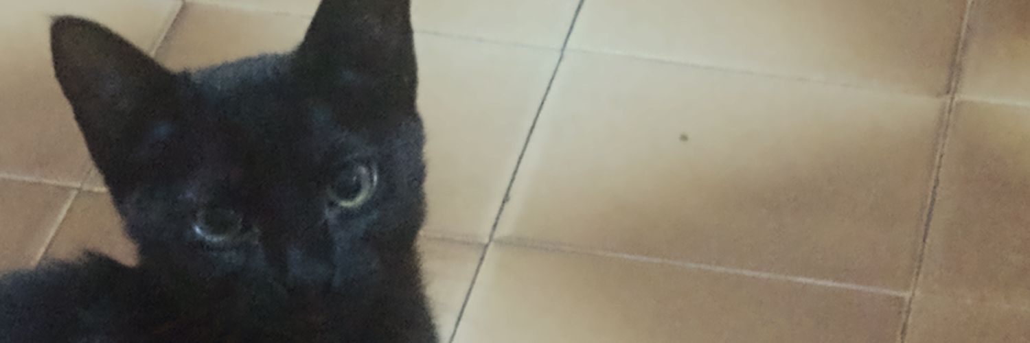 Caroliny_Stef's profile banner image