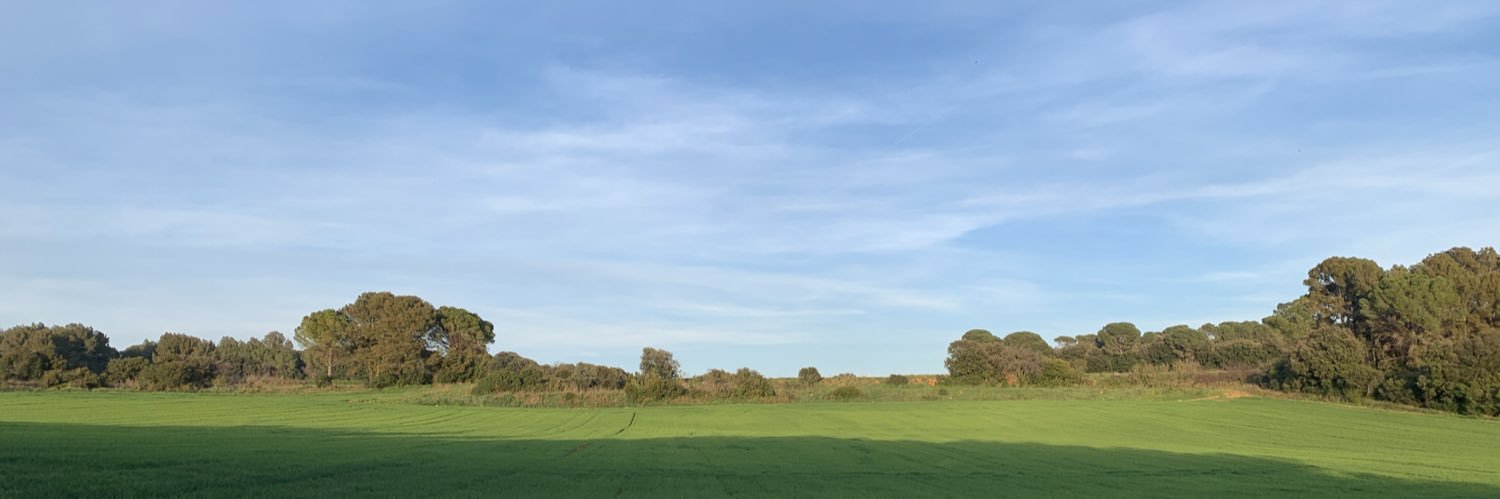 Antoni Castells banner