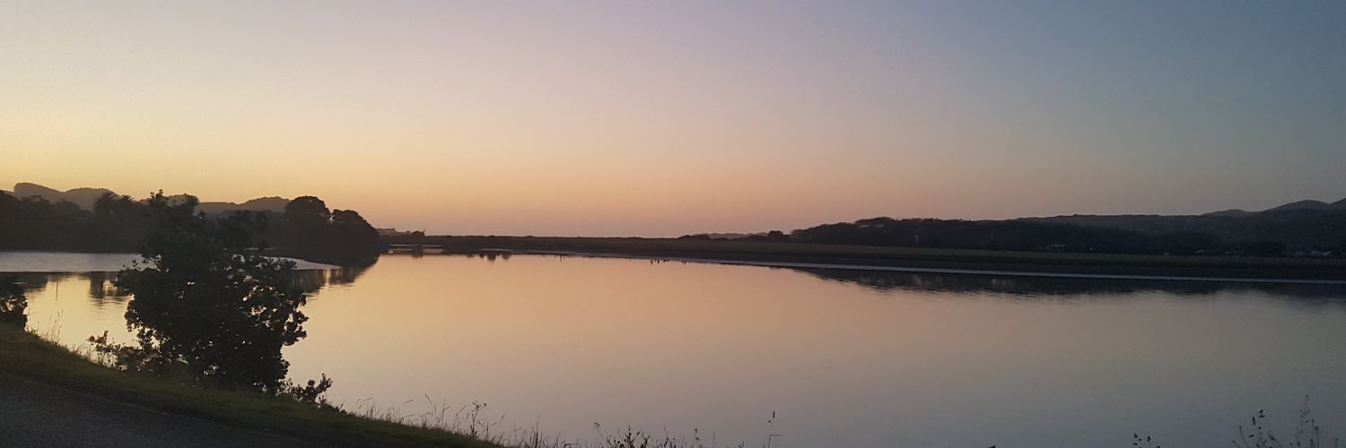 RataMiller's profile banner image
