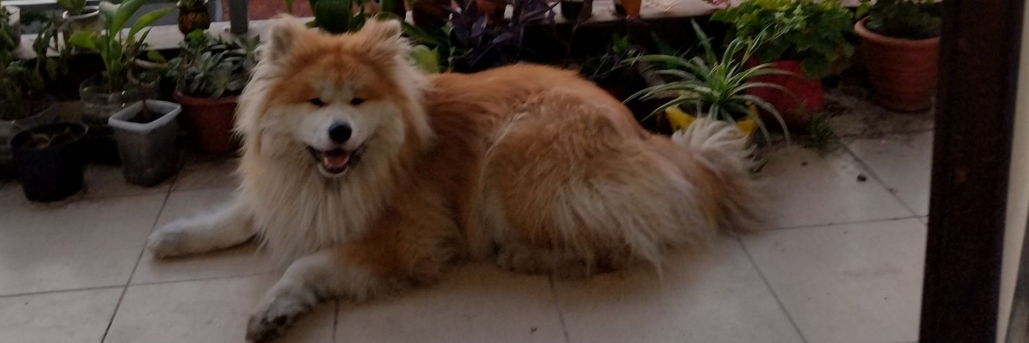 XCDaives's profile banner image