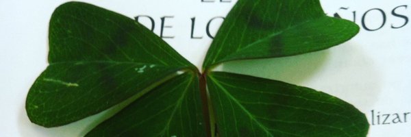 Carlatoledano Profile Banner
