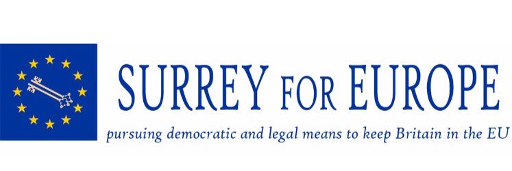 Surrey For Europe banner