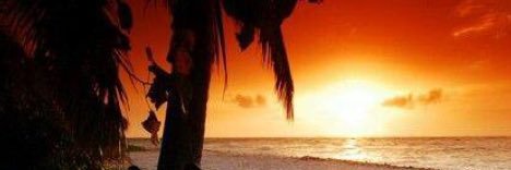 TerryMBranch's profile banner image