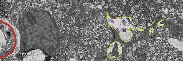 pthorn14 Profile Banner