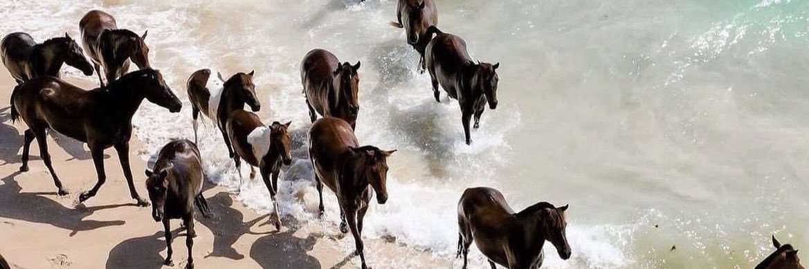 7ala 🇰🇼 banner