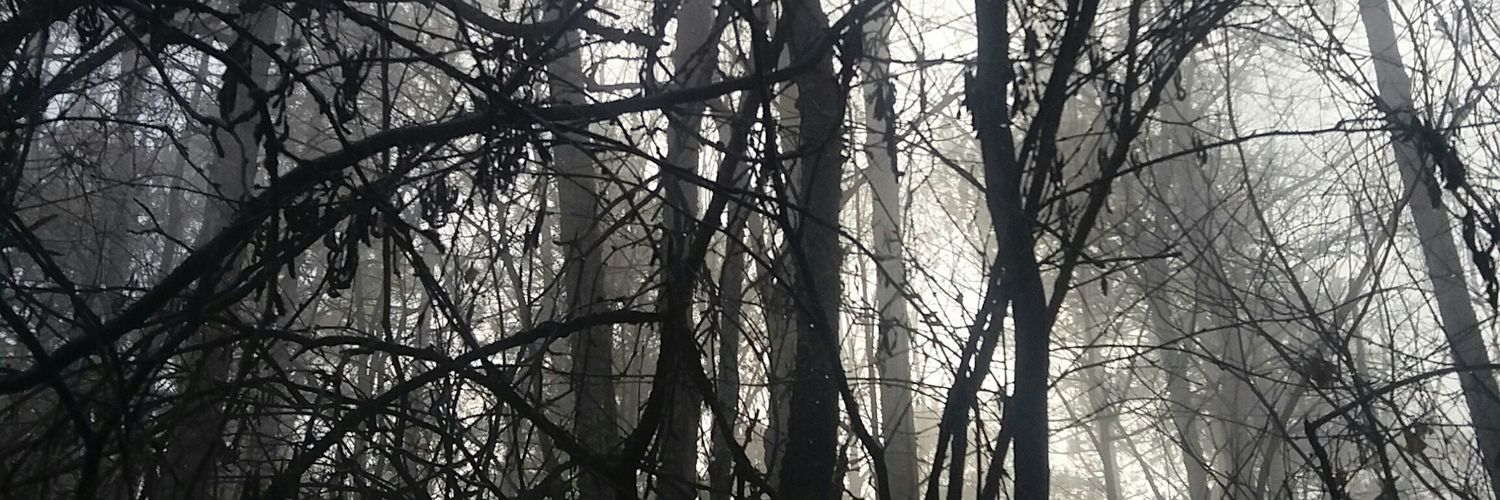 Meri Batakoja banner