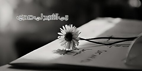 W_h_m5's profile banner image