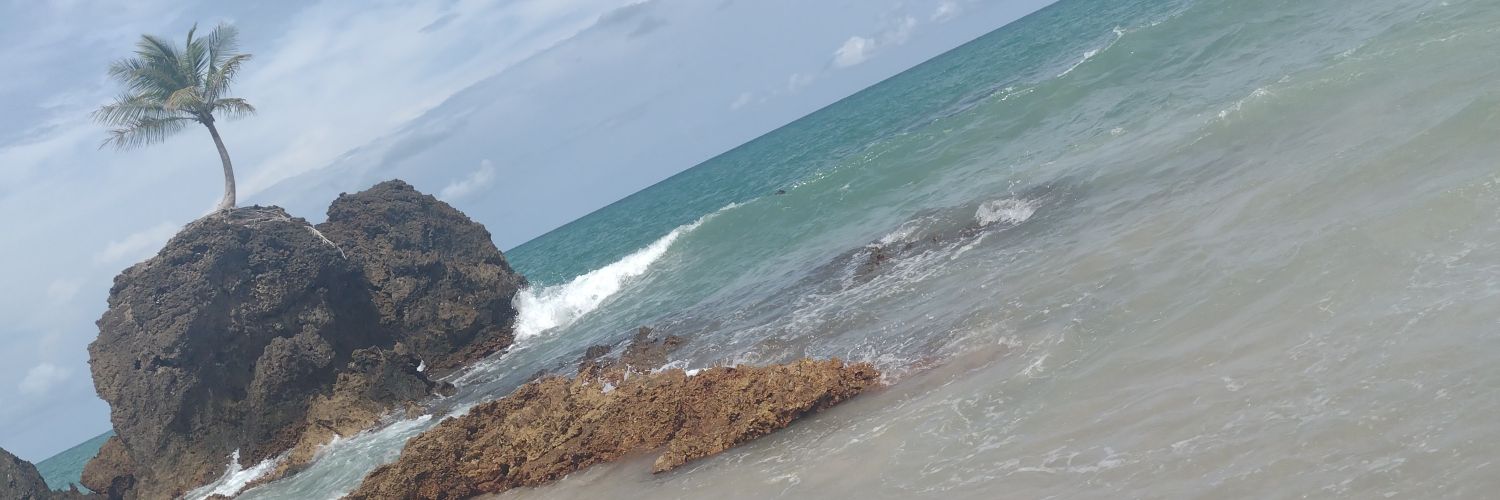 alvmodi's profile banner image