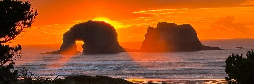 sunnidaze787's profile banner image