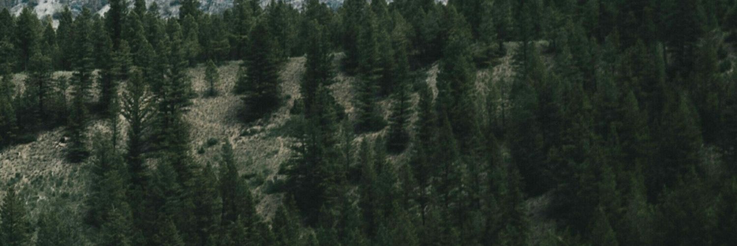 ramiro_2013's profile banner image