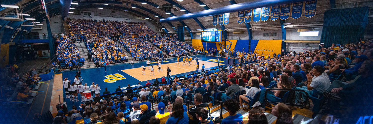 Pitt Volleyball's banner