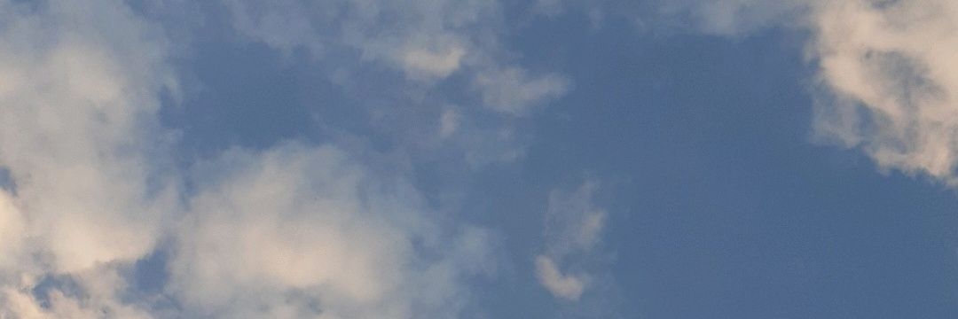 CardozoBiiel's profile banner image
