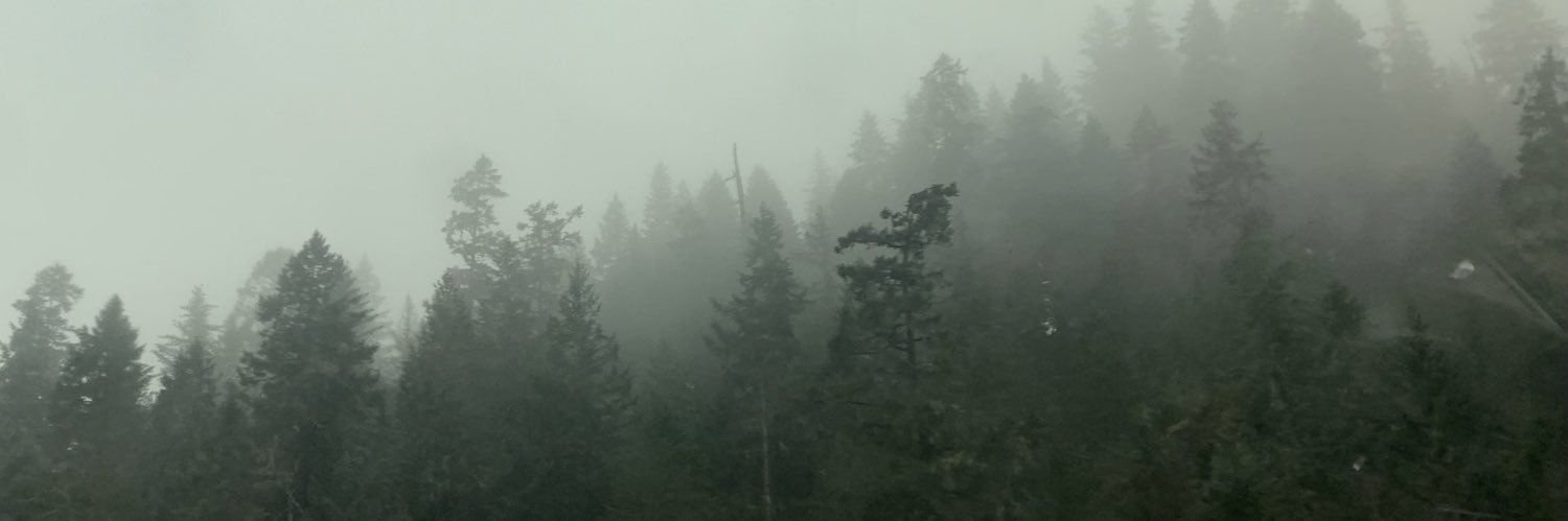 recklessfoxx's profile banner image