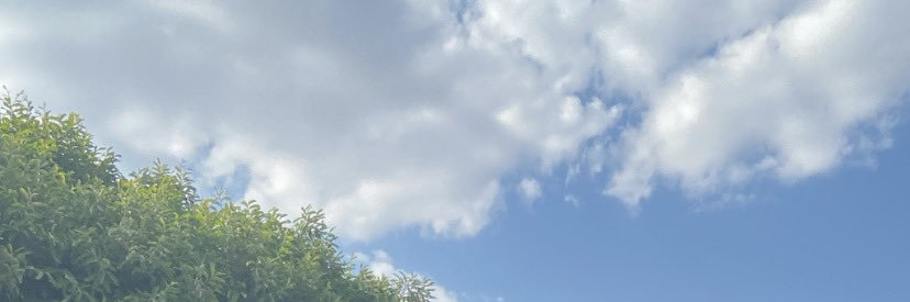 louispedrovm's profile banner image