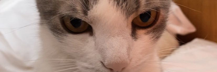 vvalenguillen's profile banner image