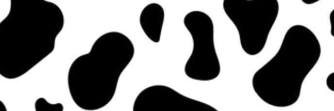 Madison Preston banner