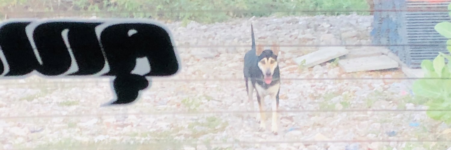 Sohol9955's profile banner image