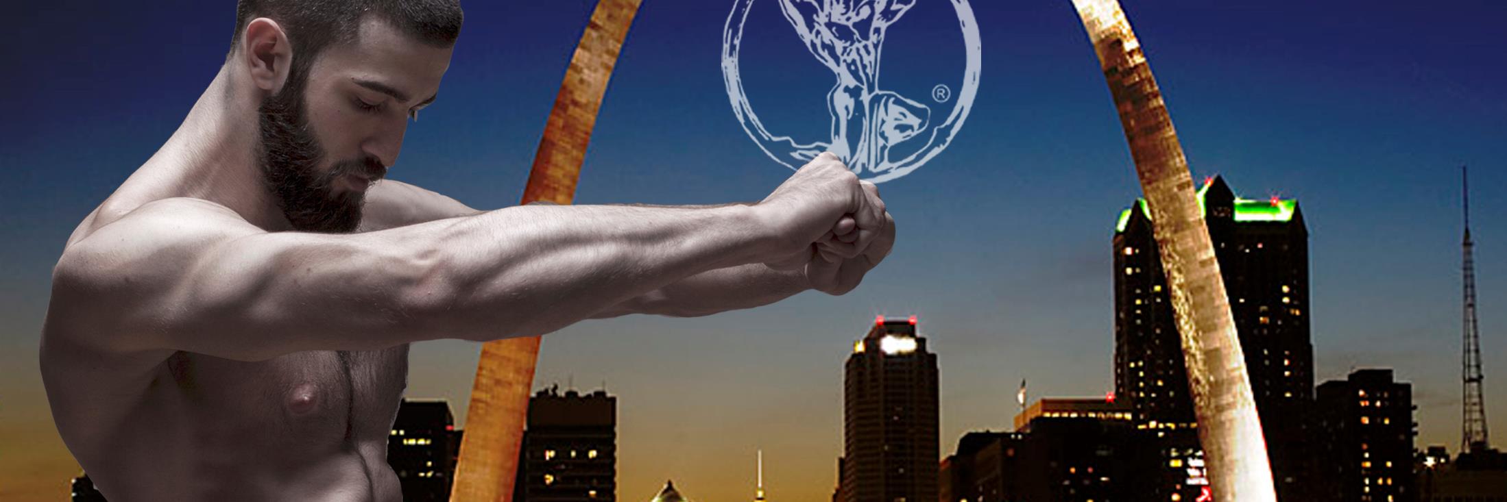 Club St Louis banner