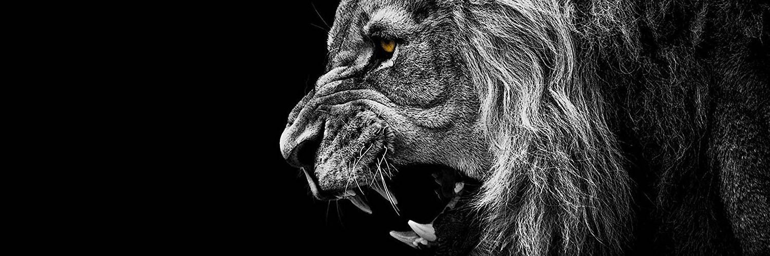 bmocj77's profile banner image