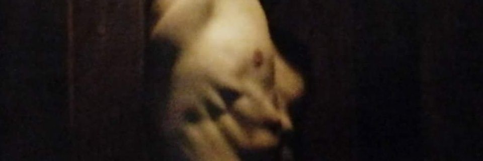 JAMESRICARDOO's profile banner image