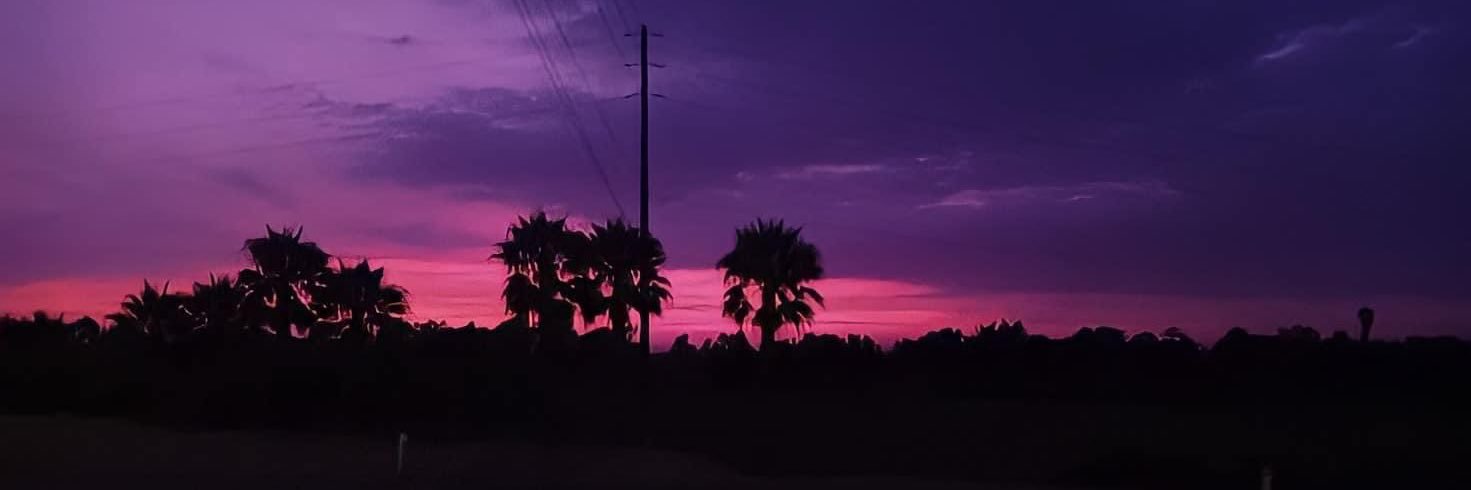 nellableh's profile banner image