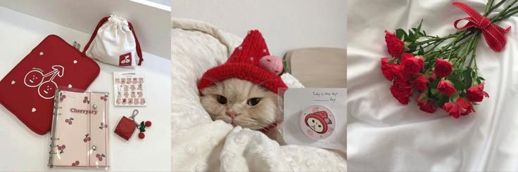 mogveds's profile banner image