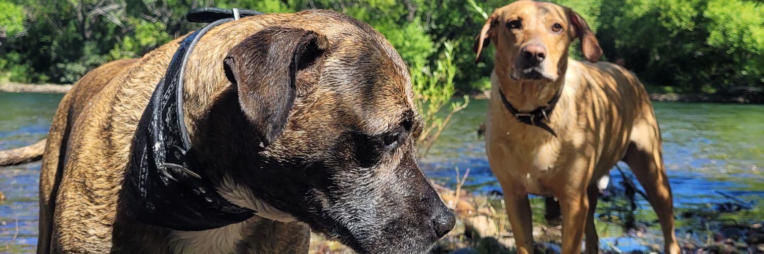 LuciaMarisolC's profile banner image