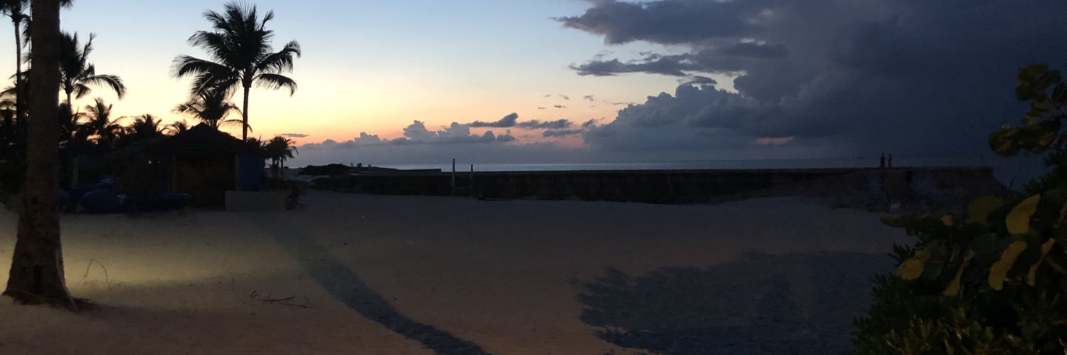 Alondra_Penguin's profile banner image