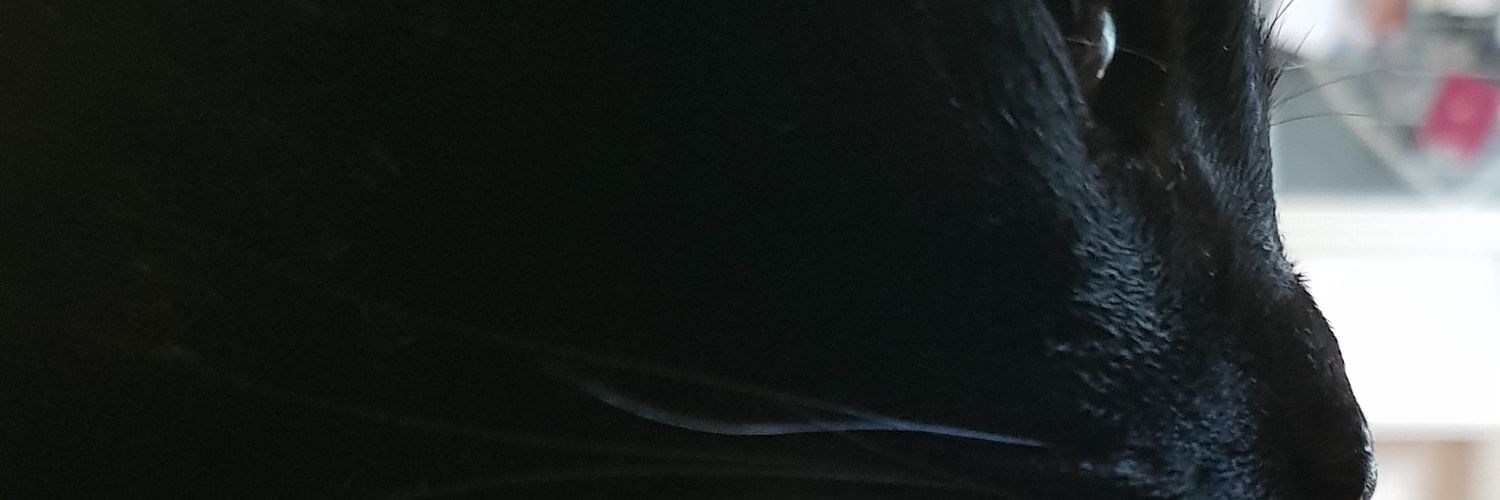 ab204's profile banner image