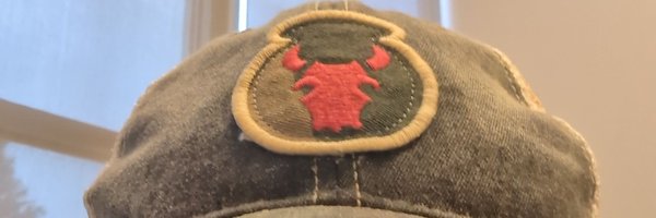 VikingRobVWO Profile Banner