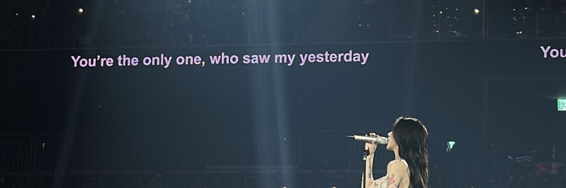 sanemi banner
