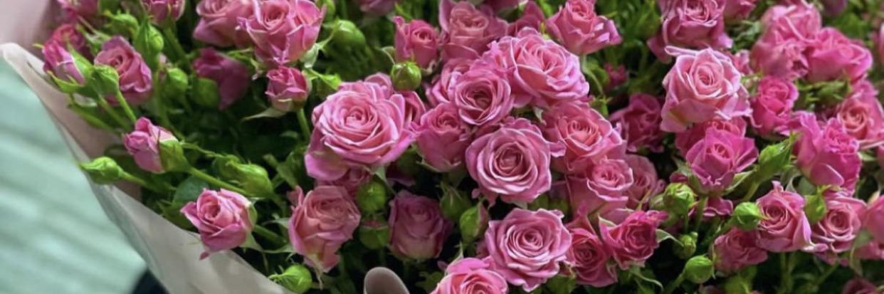 🎀𝐷𝑒 𝑁𝑎𝑣𝑟𝑜𝑛𝑔𝑜 𝙂𝙖𝙡 🇬🇭💓💞 banner