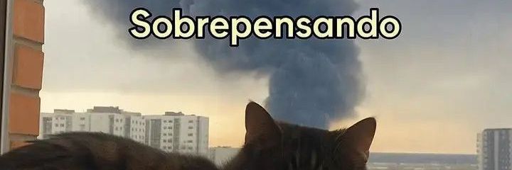 PeeAlbuquerque's profile banner image