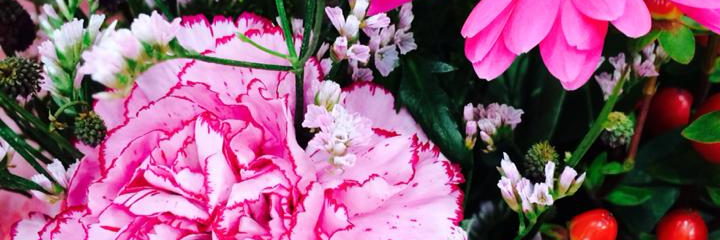 Sweetbox!❤️❤️❤️❤️💐💐💐💐💐💐 banner