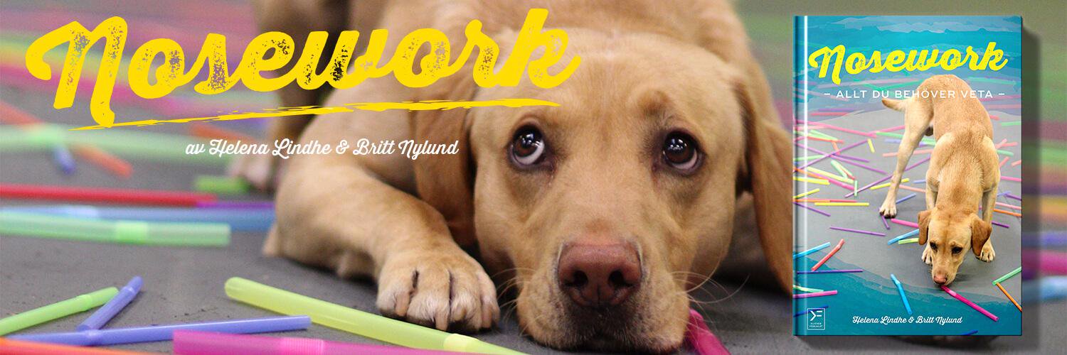 nosework1's profile banner image