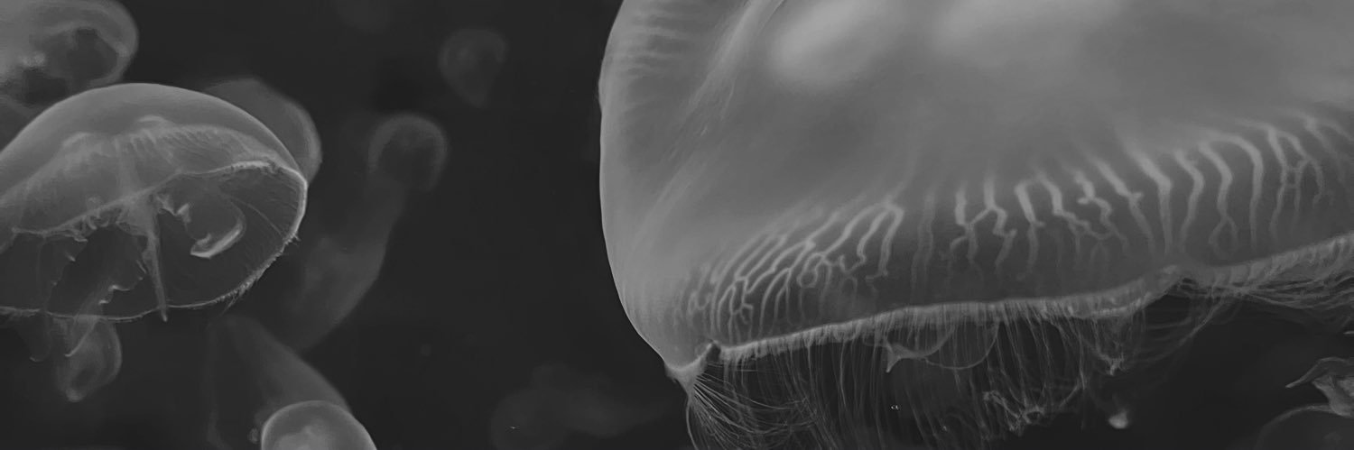 Maritza’s version banner