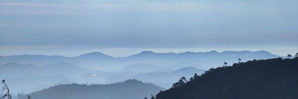 manish_lenswork Profile Banner