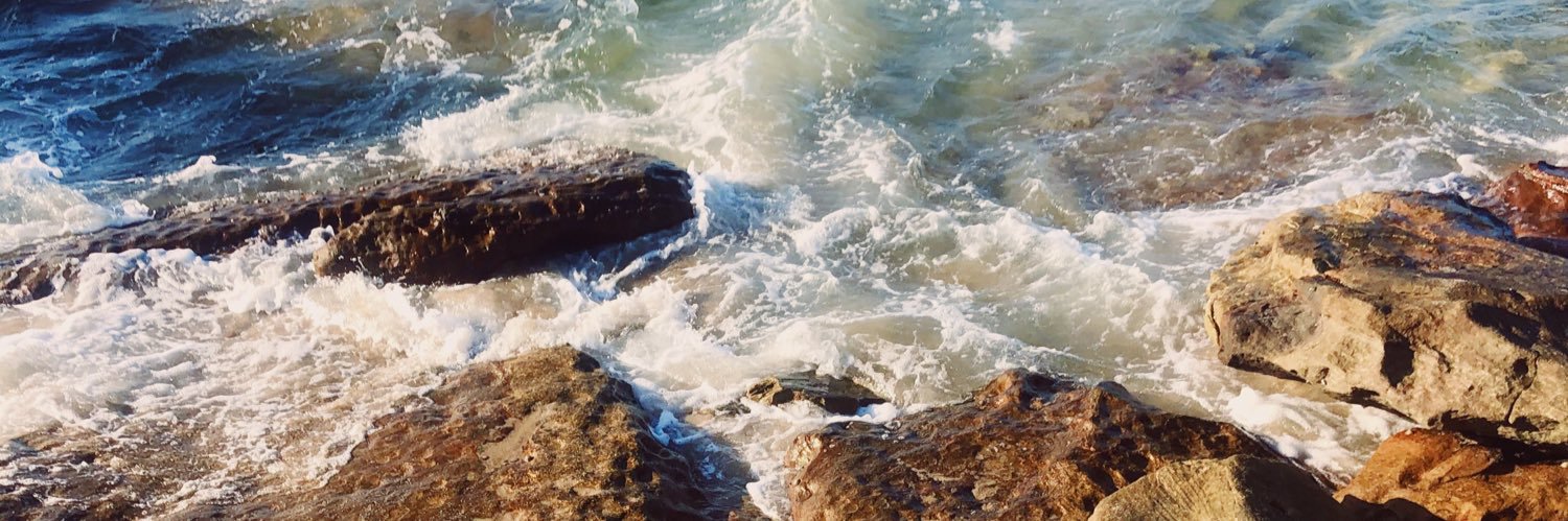 SierraRachelH's profile banner image