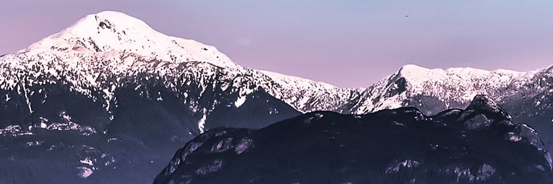vmilad's profile banner image