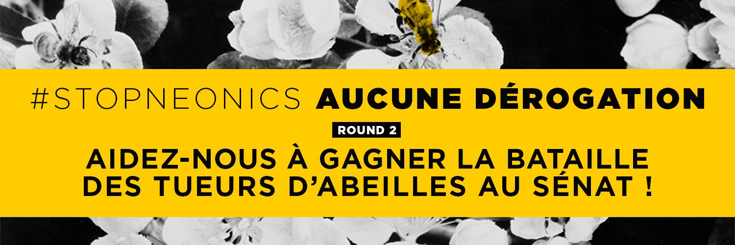 Actions POLLINIS banner