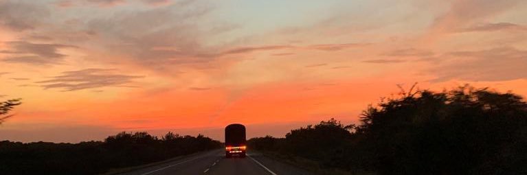 Sylvia Escovar banner