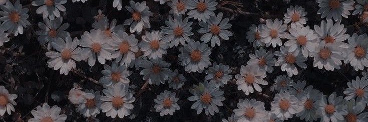 LoCaradeB's profile banner image