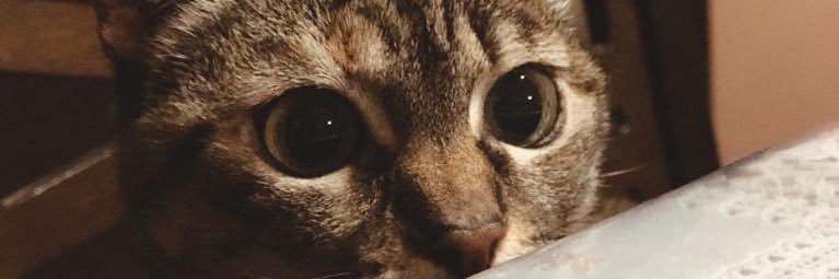 karlabalarezo's profile banner image