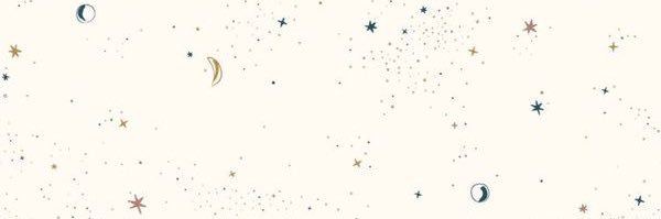 alykojedaa's profile banner image