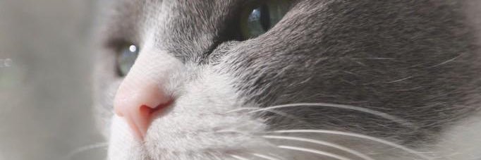 U_B_N_'s profile banner image