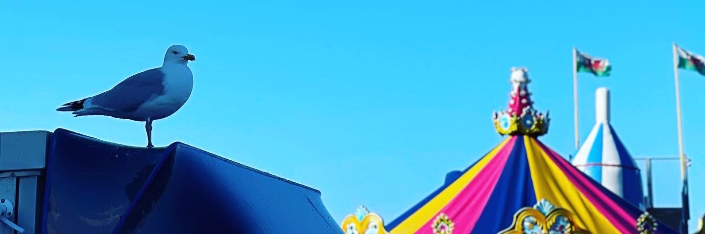 ldnicho's profile banner image