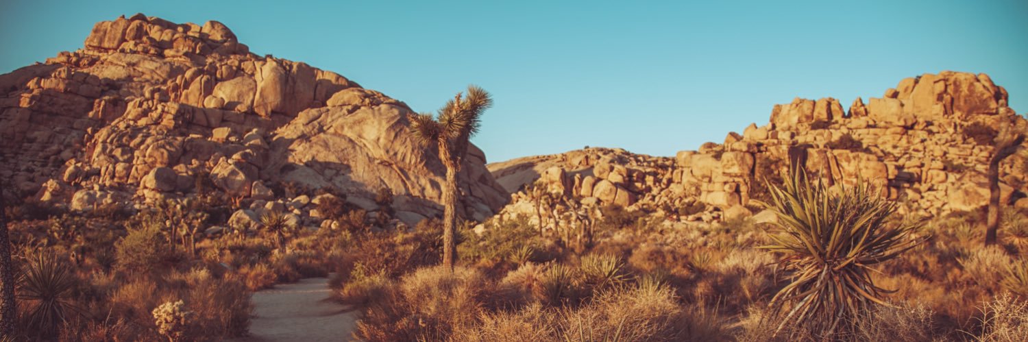CourtBarriger's profile banner image