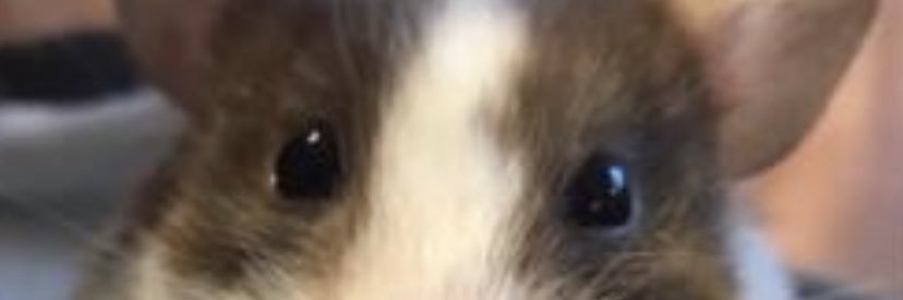 nickymck's profile banner image